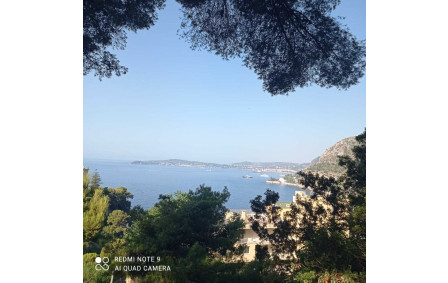 me voilà à Cannes sous la canicule plus de 35°