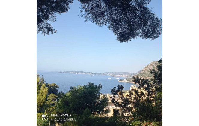 me voilà à Cannes sous la canicule plus de 35°